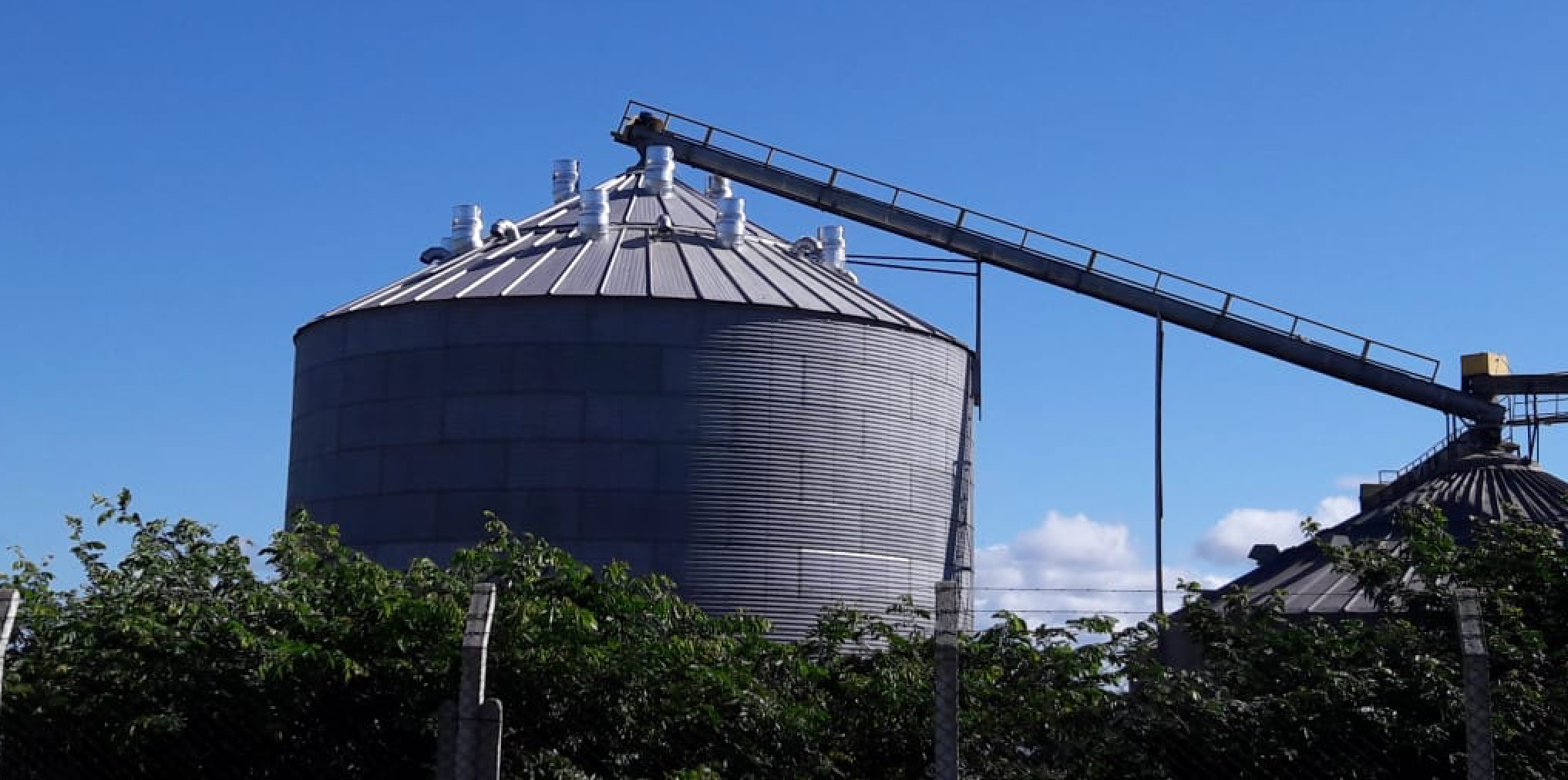 Condensação em silos: o que é e como evitá-la?