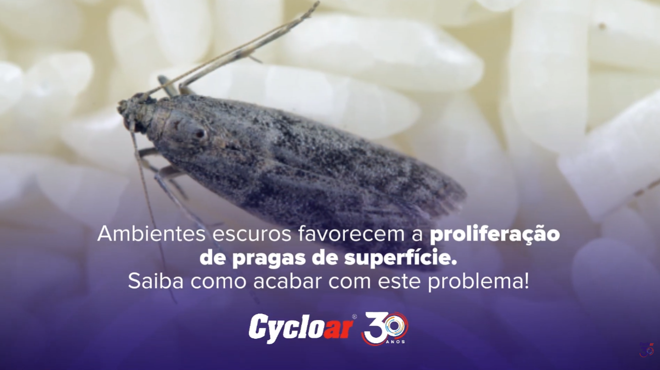 Como a iluminação natural ajuda a prevenir pragas na armazenagem de grãos